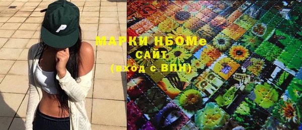 хмурый Алексин