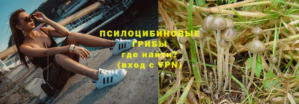 стаф Алексеевка