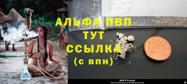 хмурый Алексин