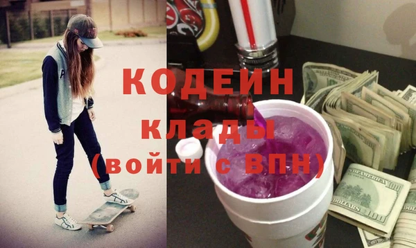 хмурый Алексин